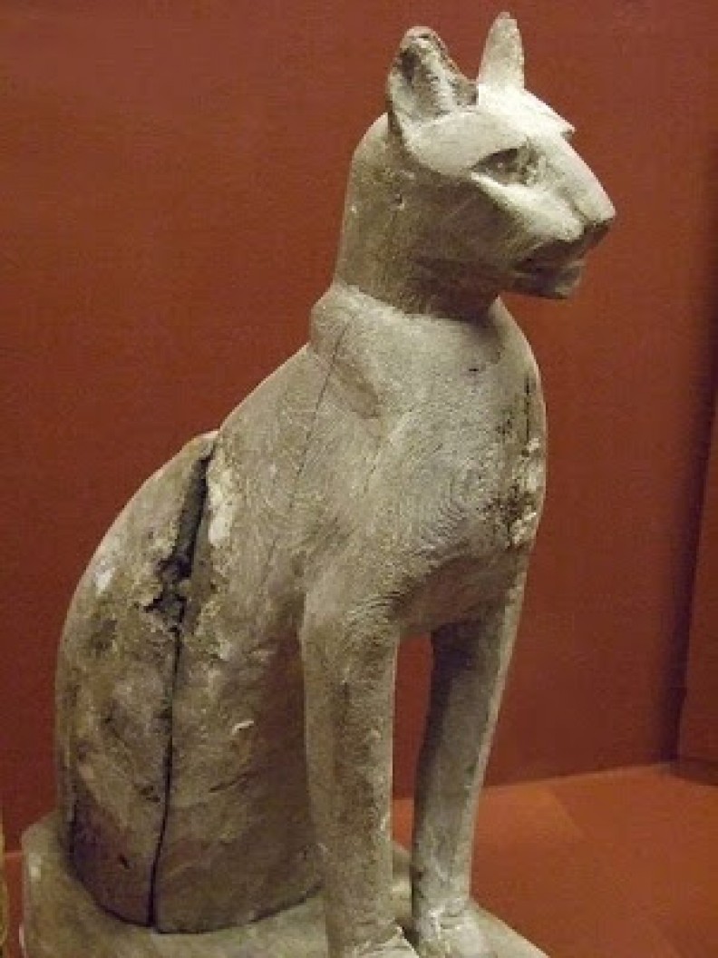 gato-egipcio
